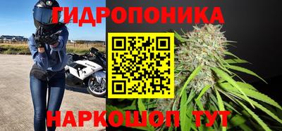 винт Краснодар